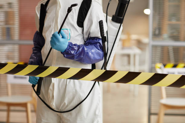 Professional Sewage Cleanup technician working in McIntosh, FL